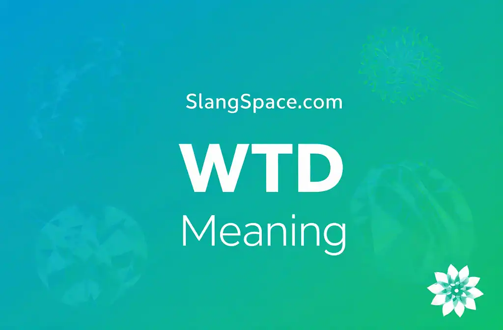 WTD Meaning