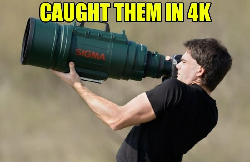 caught in 4k meme