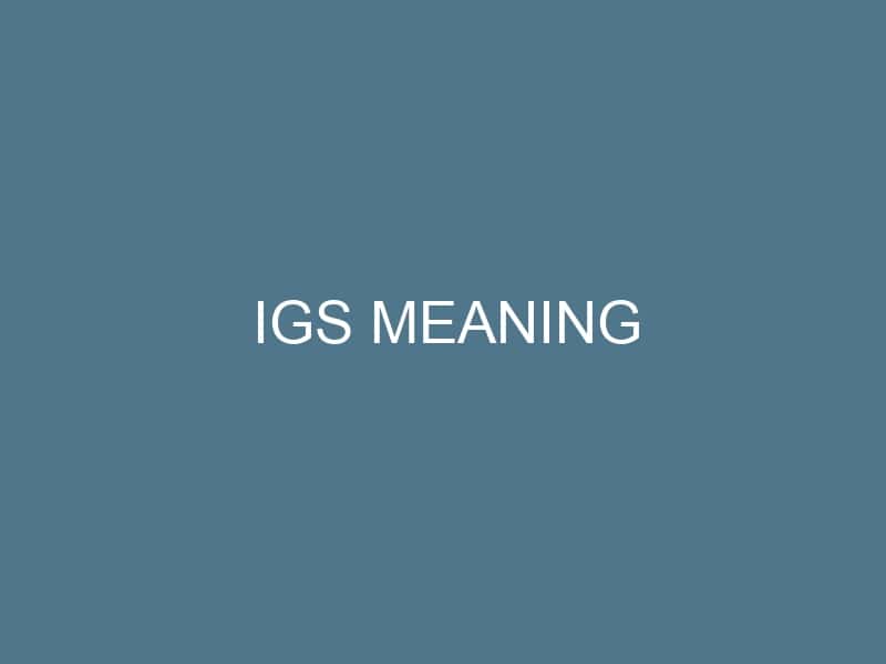 IGS