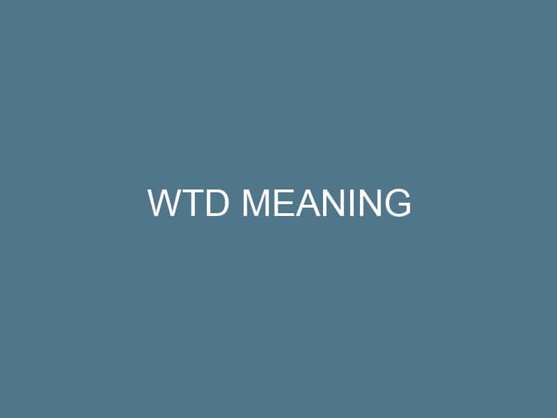 WTD Meaning