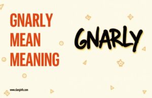 Gnarly Meaning